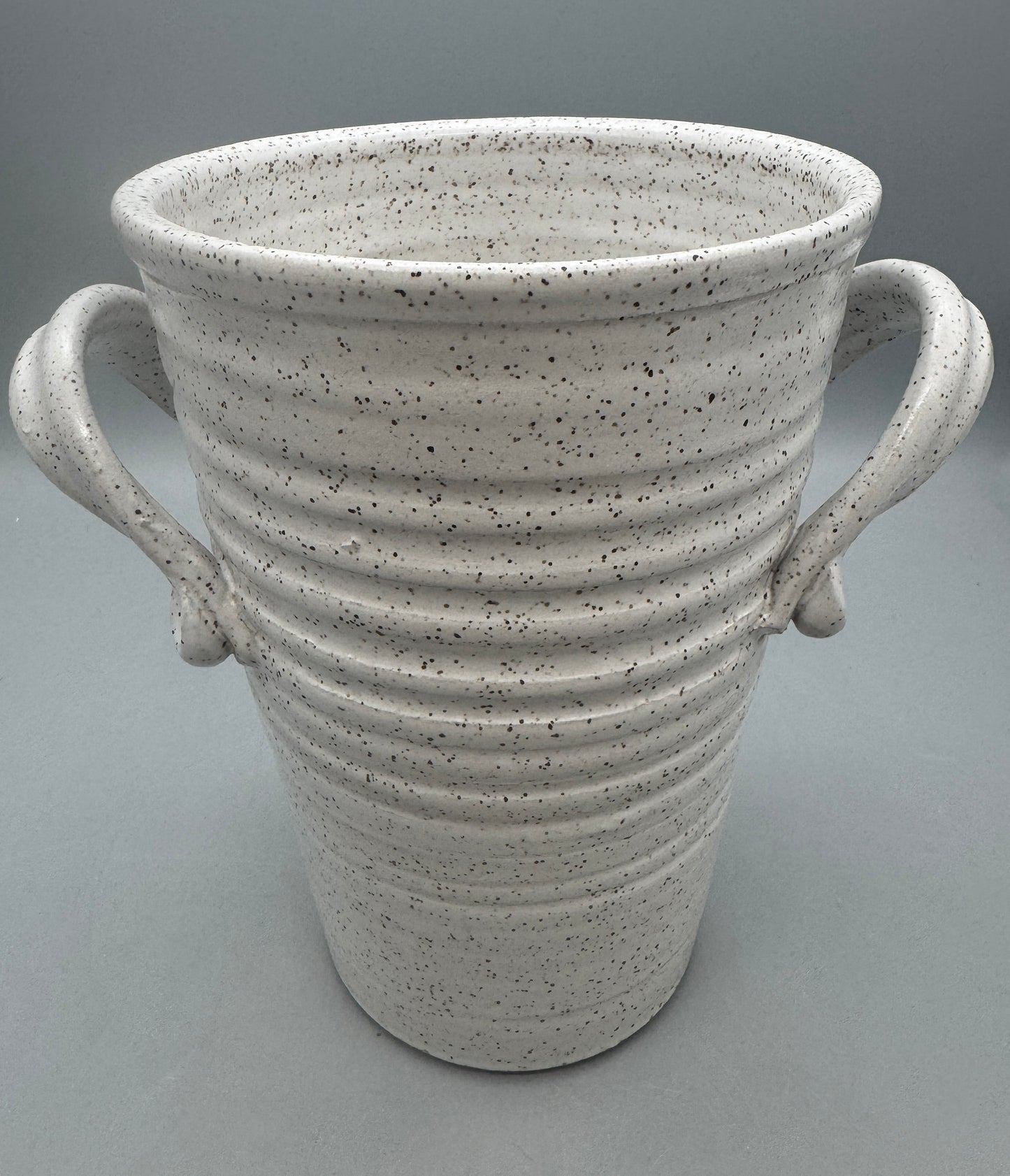 Brenda Mahoney- White Speckled Vase