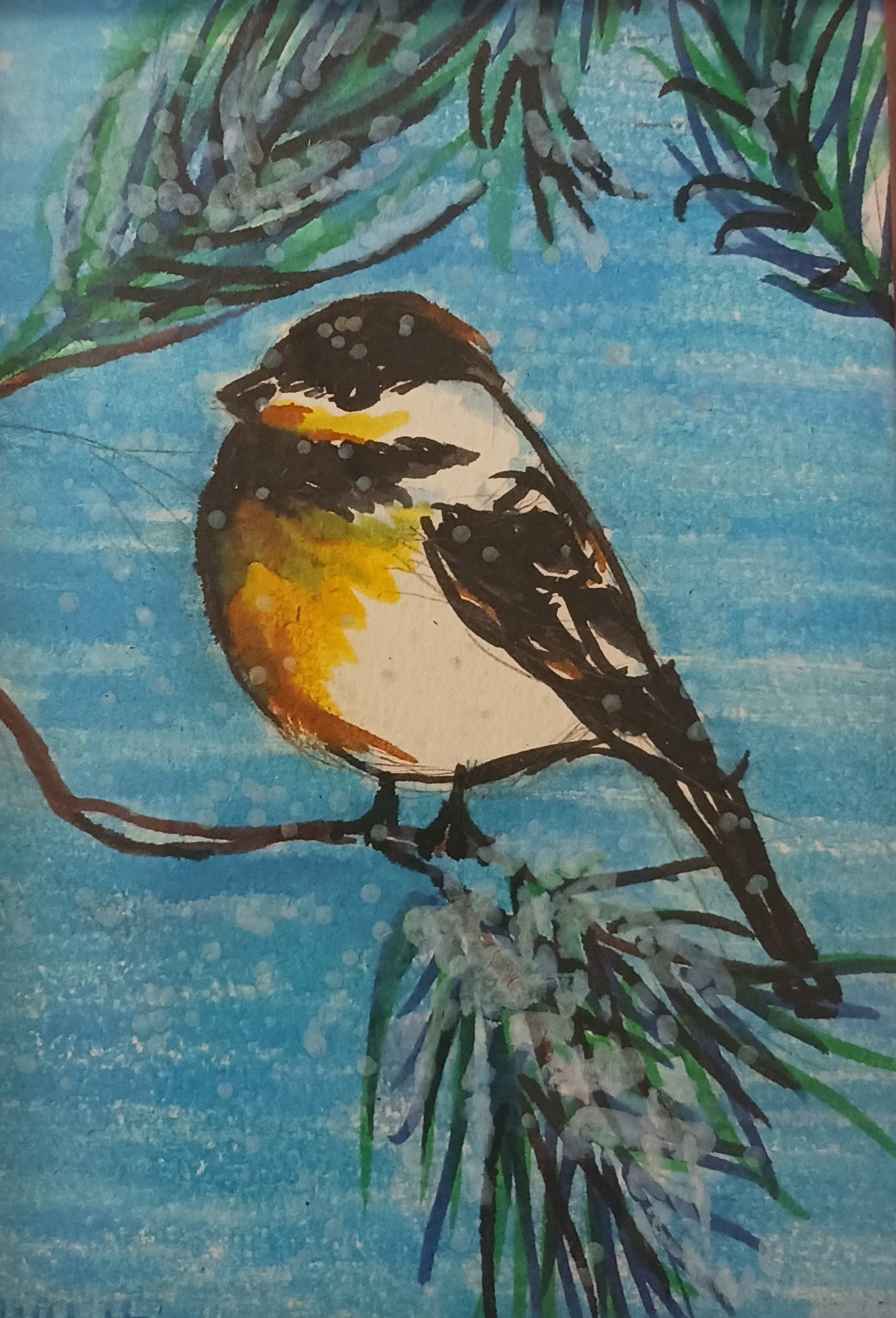 Peggy Shifflett-Snowy Chick-a-dee