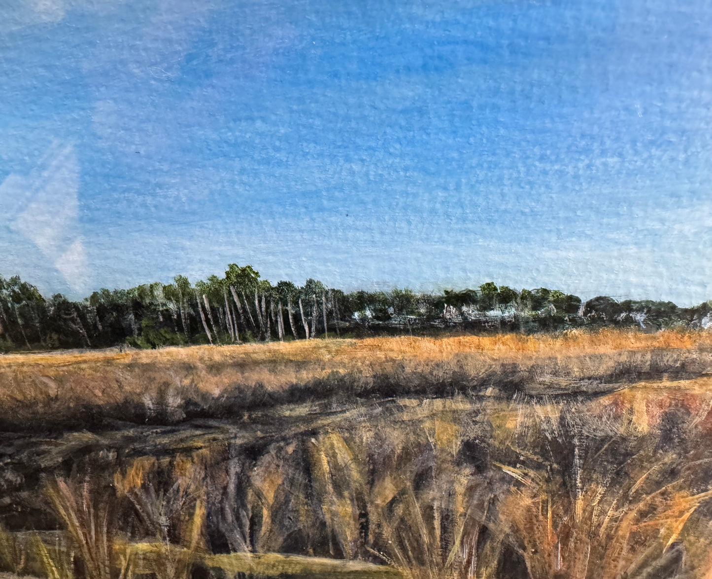 Susan Brodie-Bethel Beach 1
