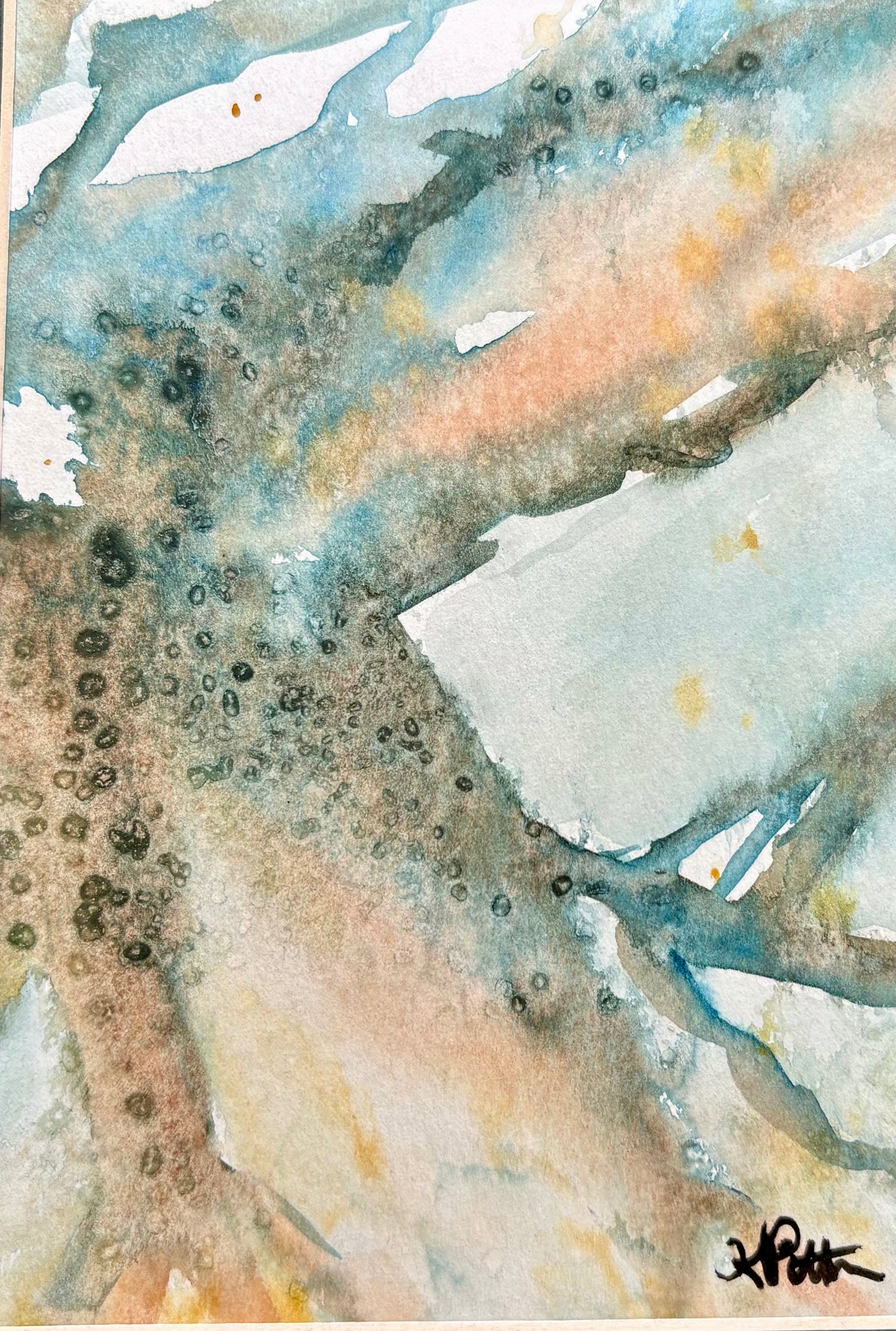 Karen Pittman-Emerge