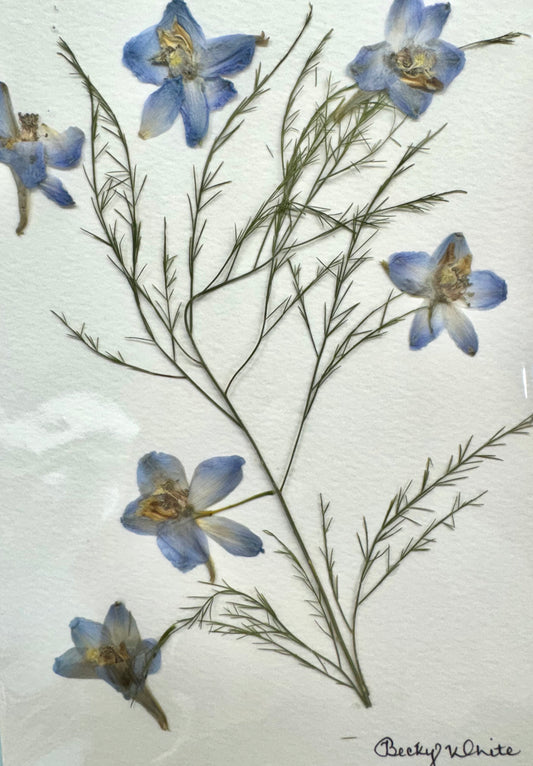 Rebecca White-Blue Flowers Print