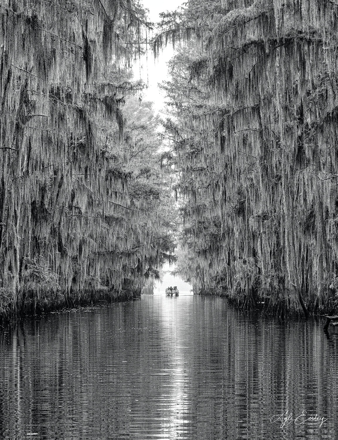 Lyle Eesley- Bayou Canyon