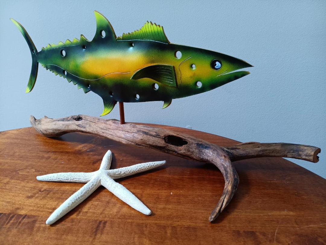 Warren Dorer-Hole-y Mackerel