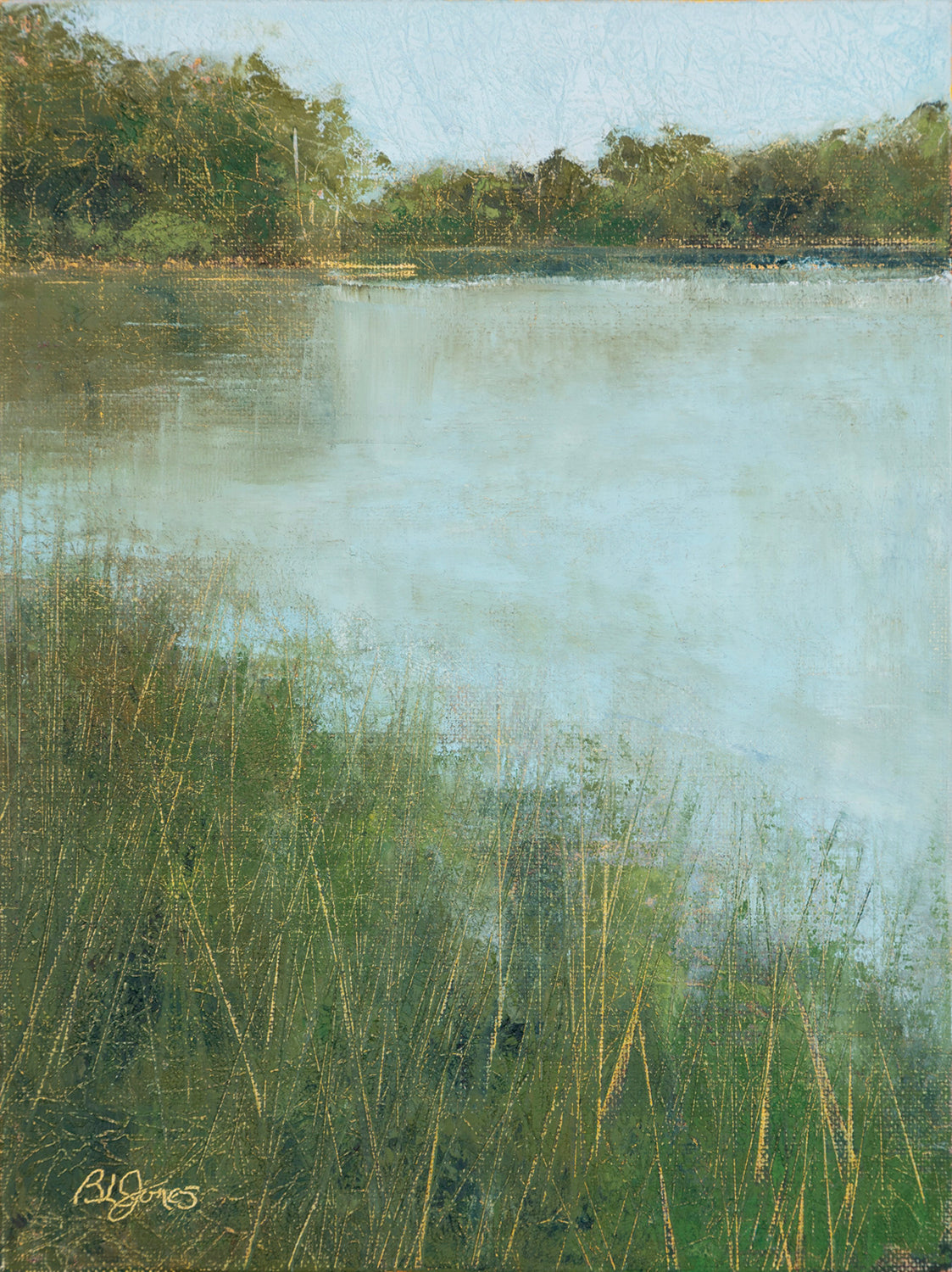 Bonnie-Leigh Jones- Still Waters