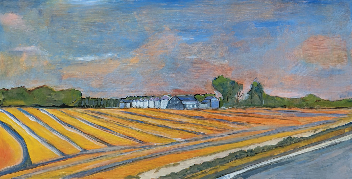 Anne Mattheisen- Cotton Farm Done