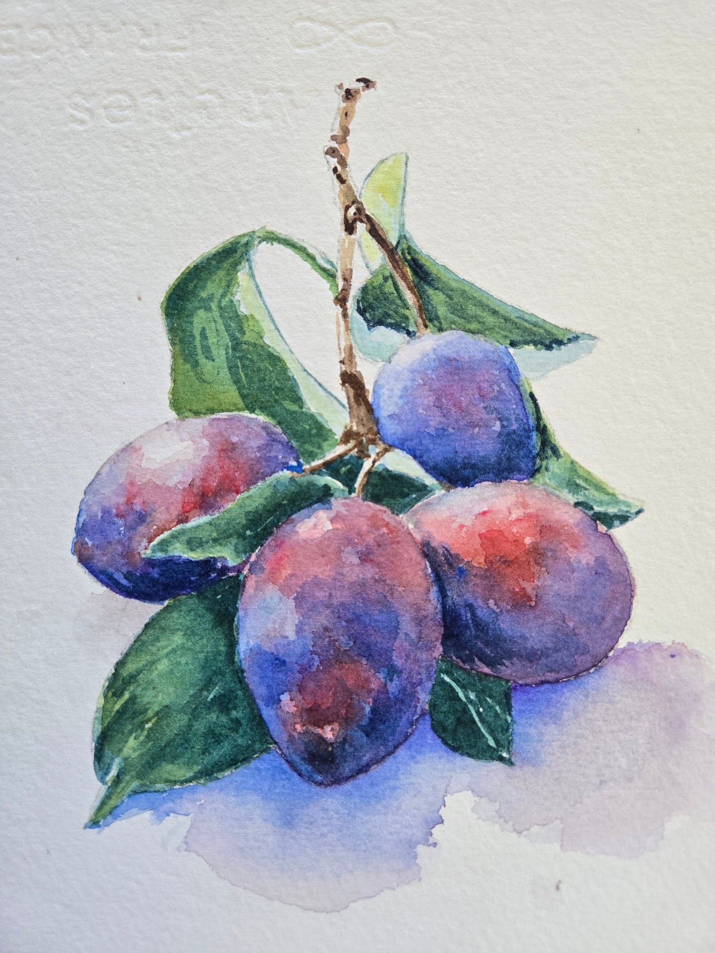 Gib Pulley - Plum Perfect