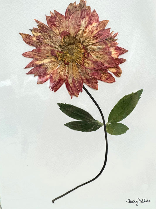 Rebecca White-Flower Print