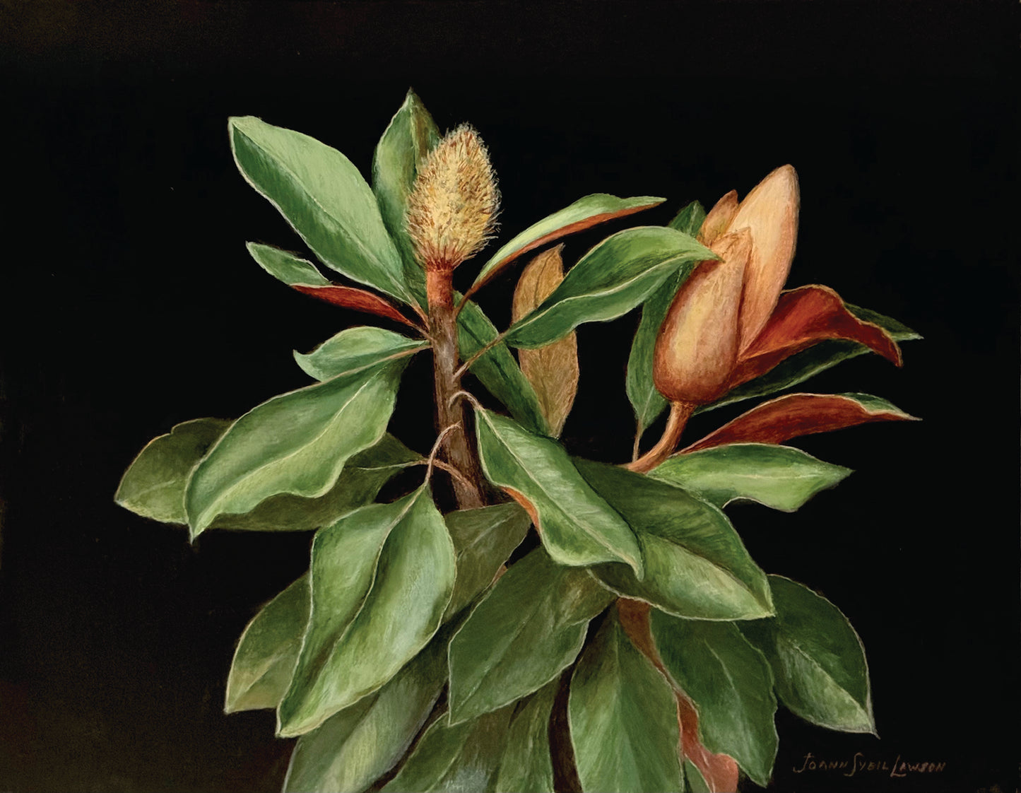 Joan Sybil Lawson-William & Mary Magnolia