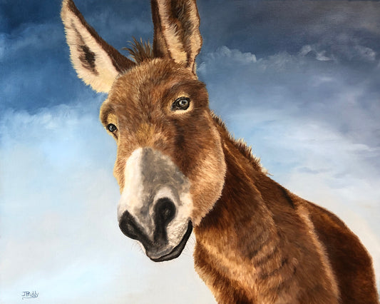 Jan Priddy-- Donkey