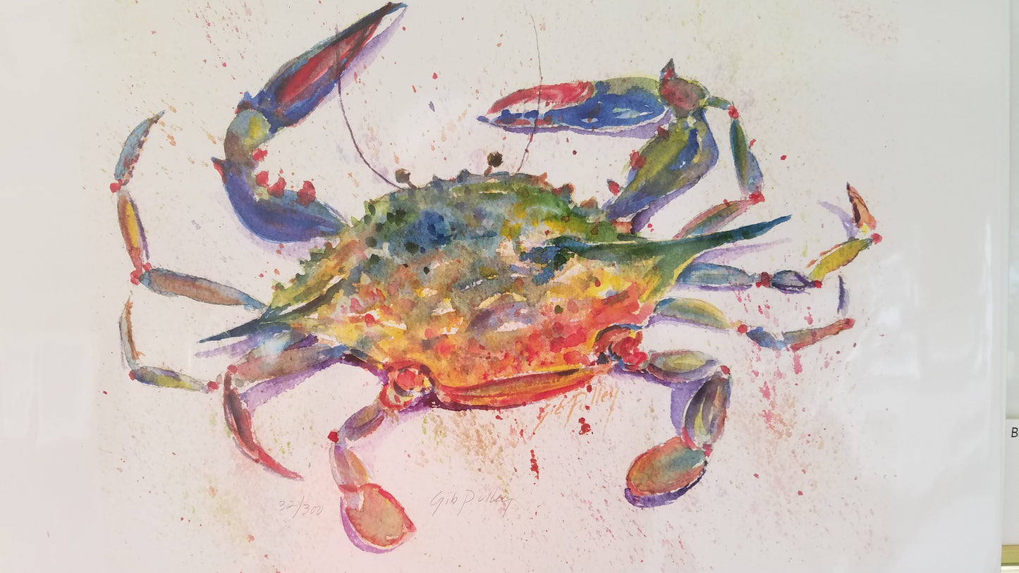 Gib Pulley - Not So Blue Print