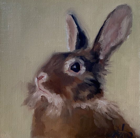 Sarah Nelson - Lionhead Rabbit