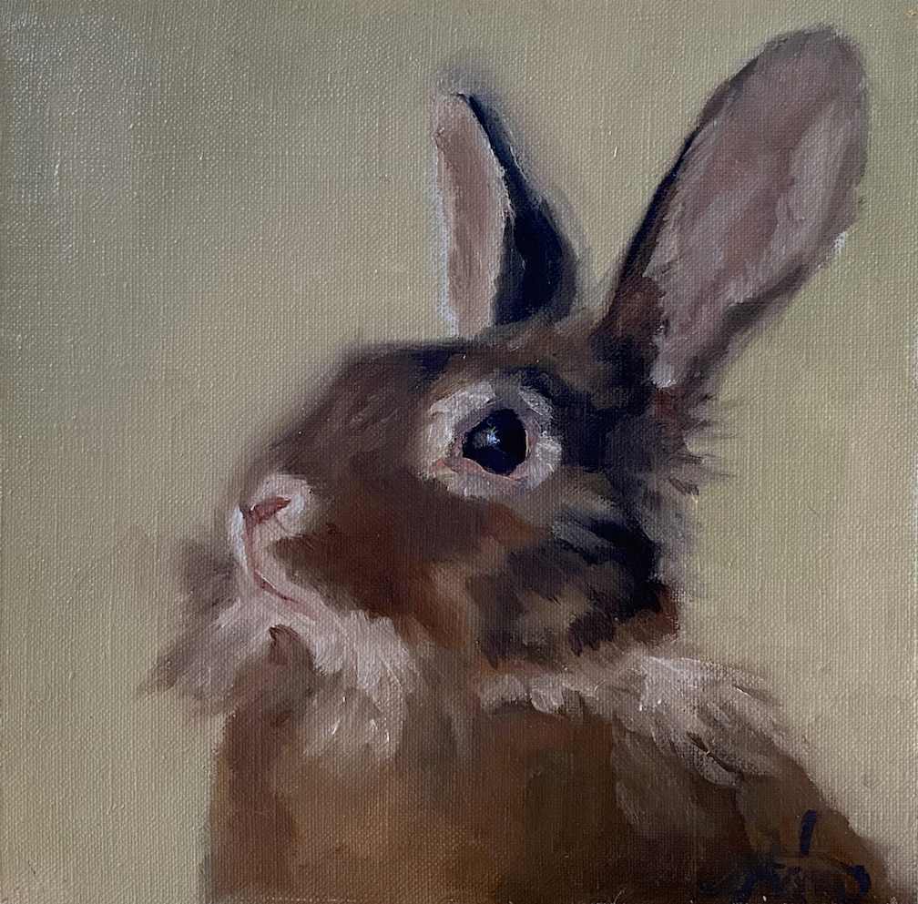 Sarah Nelson - Lionhead Rabbit