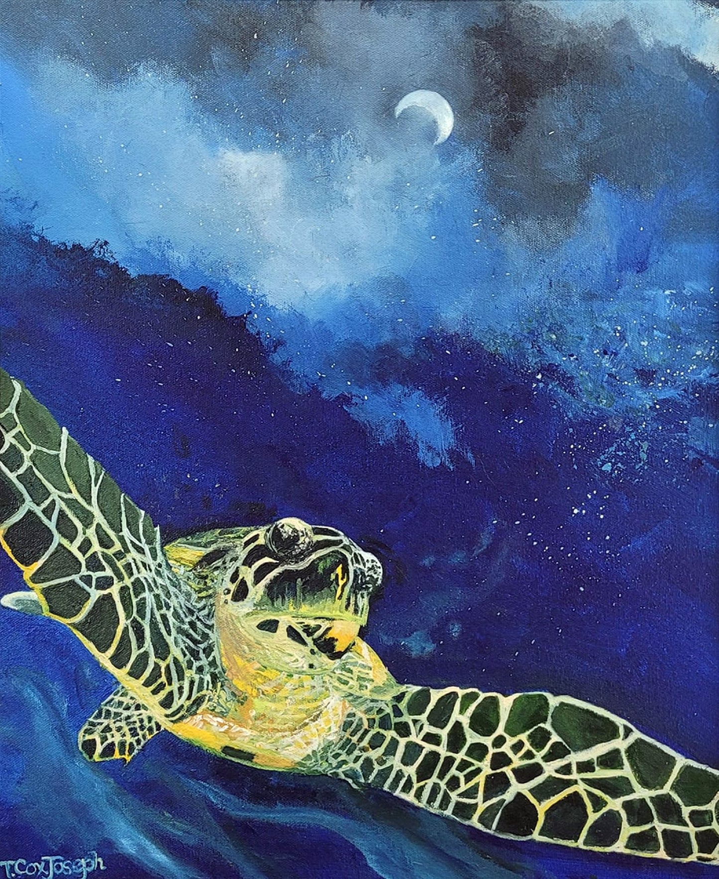 Terry Cox-Joseph - Sea Turtle Universe