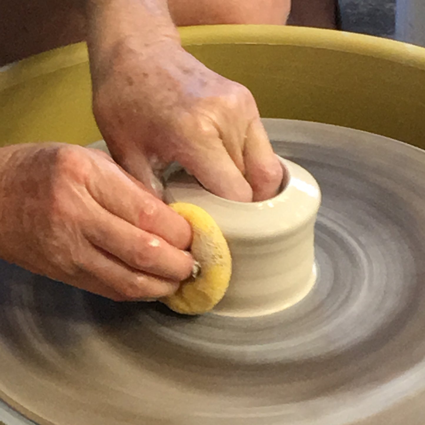 Bay School Gift Certificates