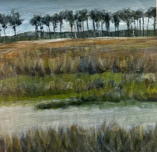 Susan Brodie-Bethel Beach