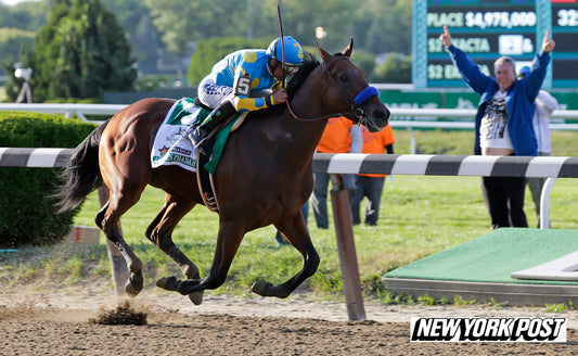 2015-06-15 American Pharoah wins triple crownRFS42004p