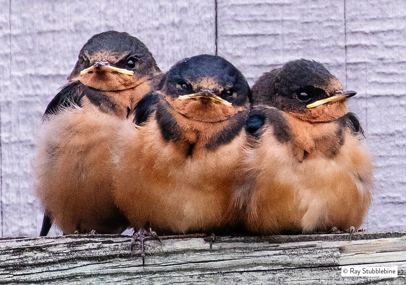 2018-07-18 Alaska IMG_3424