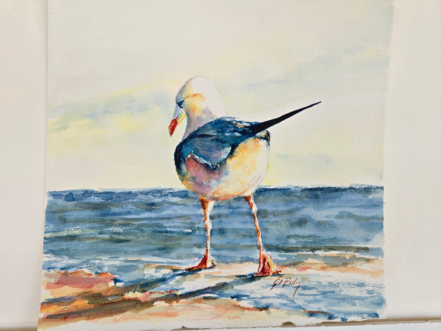 Gib Pulley - Beach Patrol