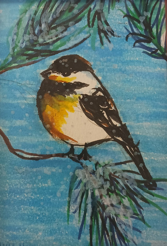 Peggy Shifflett-Snowy Chick-a-dee