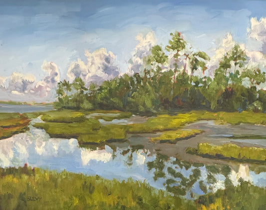 Bart Levy-Low Tide