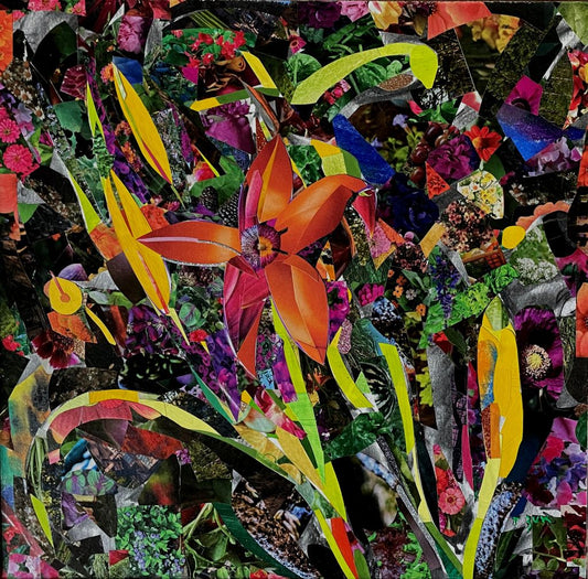 Tom Zuk- Day Lillies