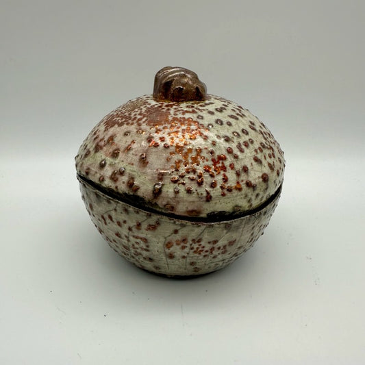 Pam Doss -Tactile Treasure Box
