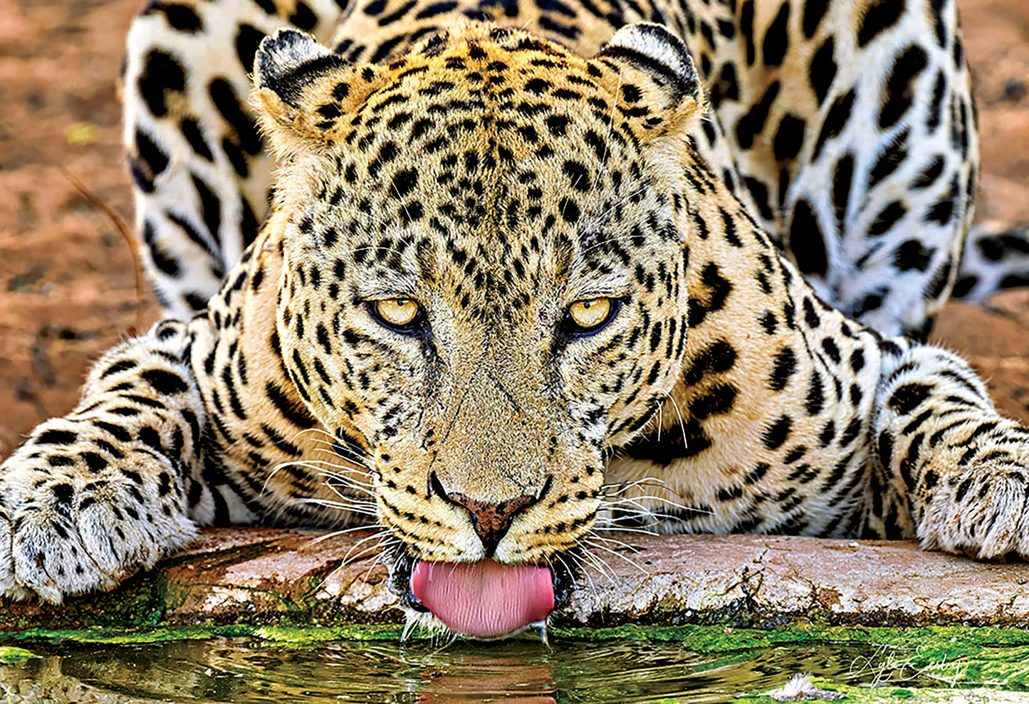 Lyle Eesley- Thirsty