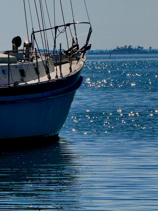 Averelle Dylan- Good Day Sunshine-York River