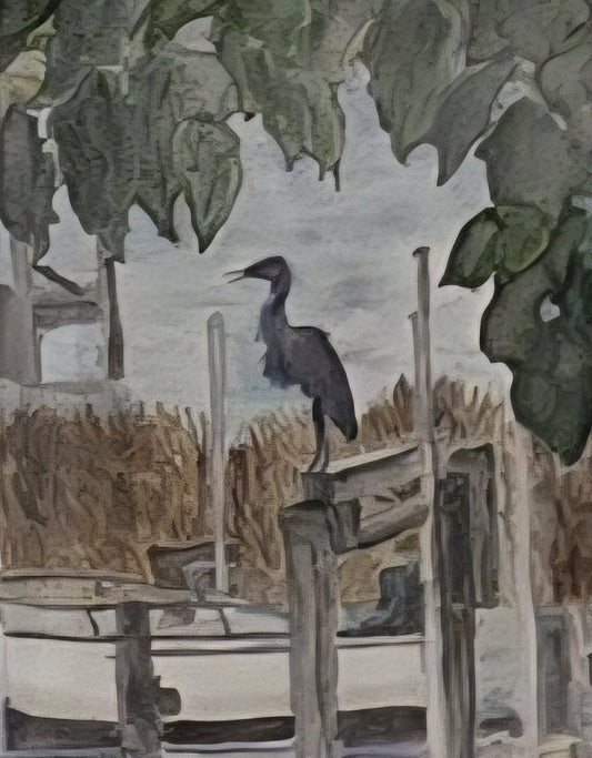 Melissa Gordon-Fishing on Queen's Creek