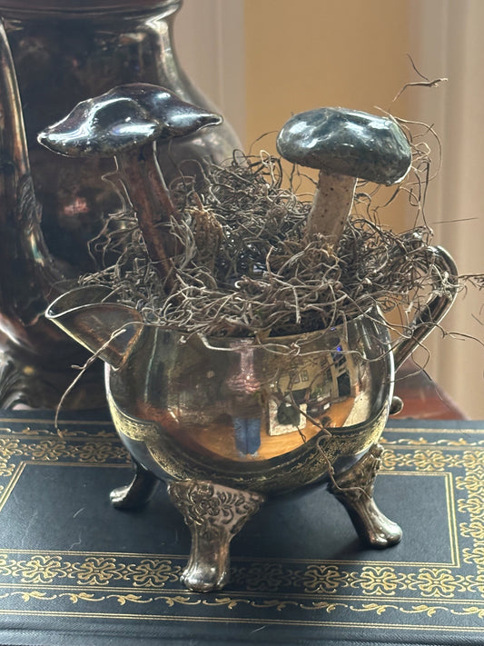 Adelle Hudgins-Timeless Fungi