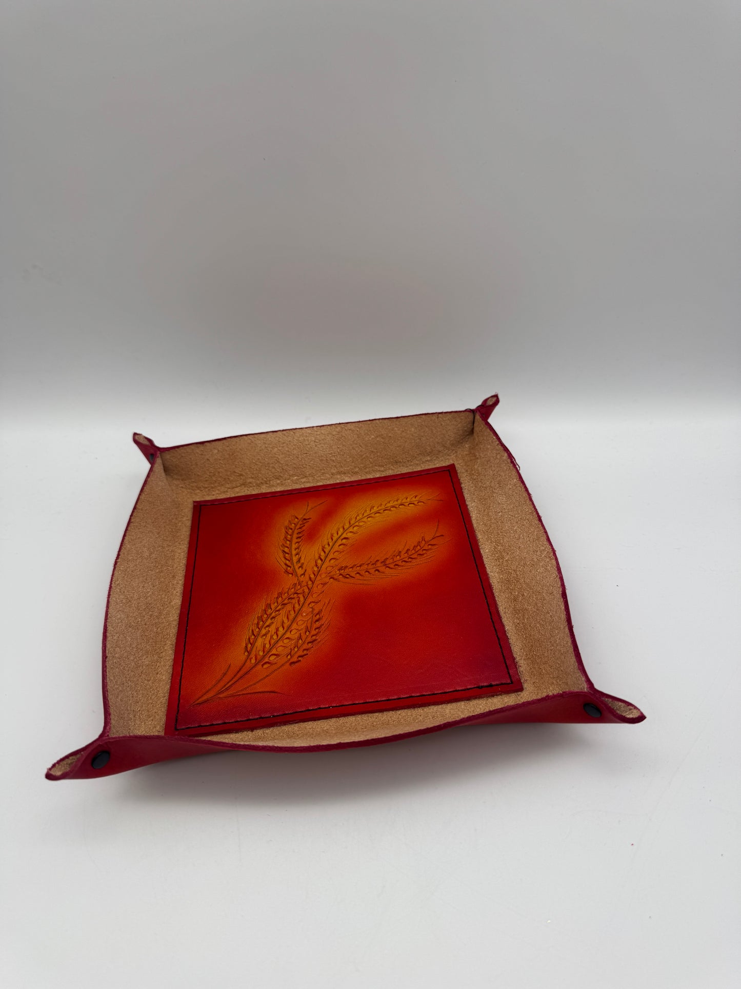 Warren Dorer-Clutter Catcher 1