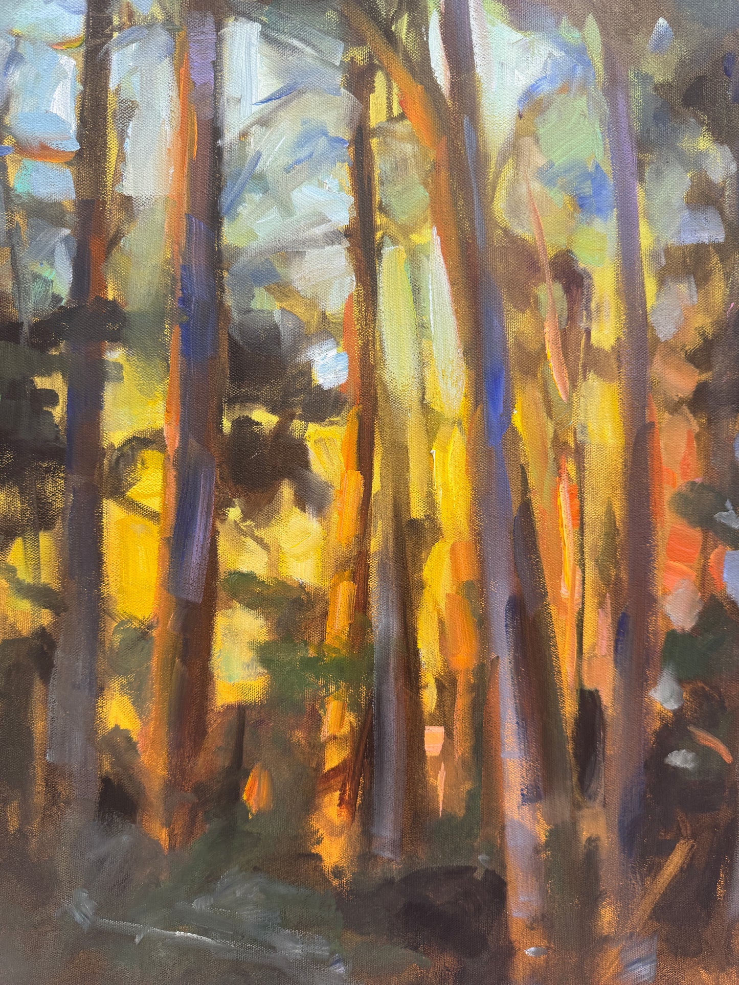 Susan Bradbury-Pines