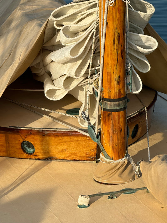 James Dylan- Mast~York River Schooner