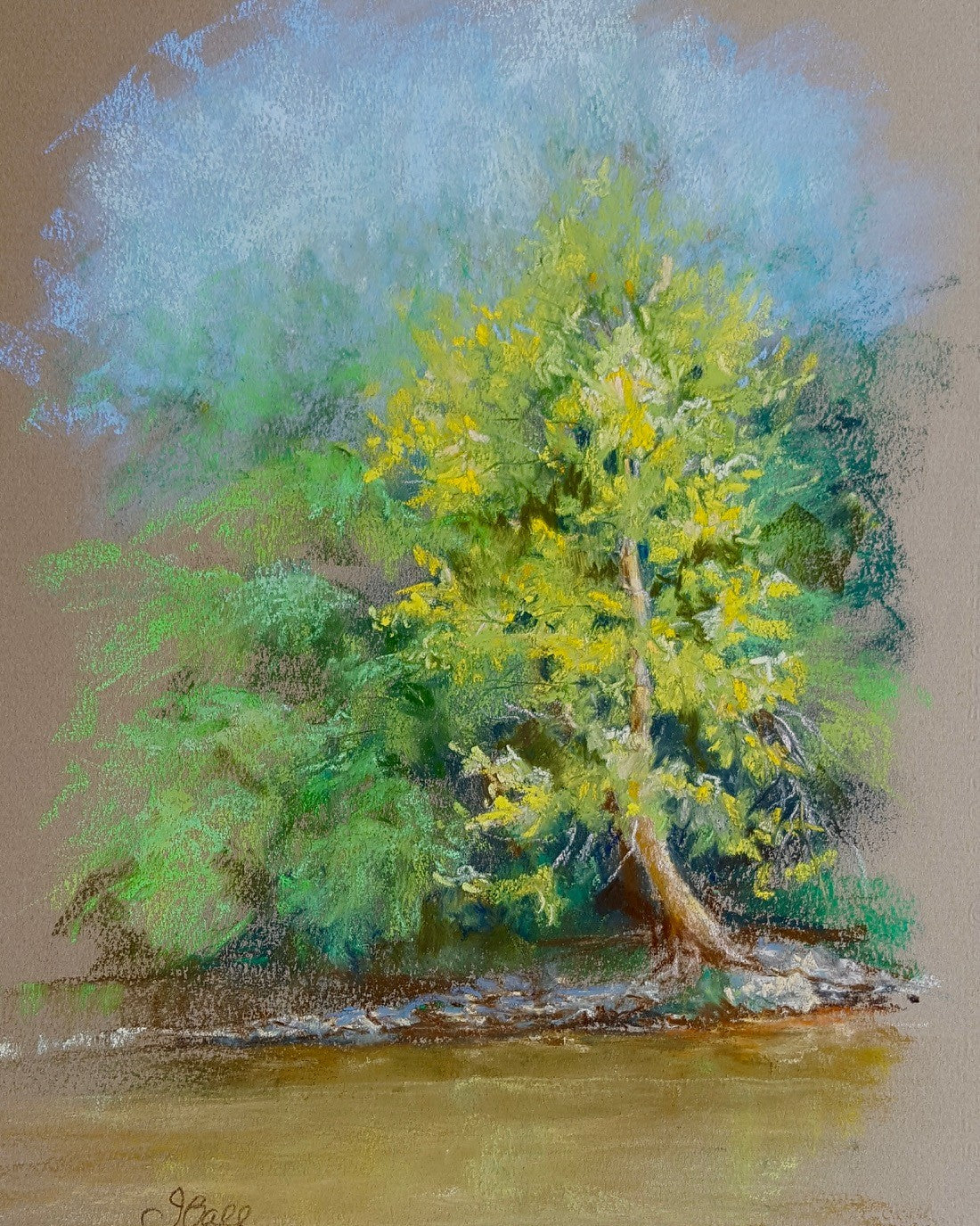 Jody Ball-Over the River