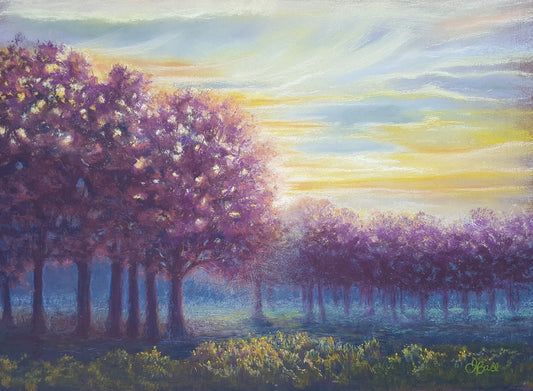 Jody Ball-Joy of the Earth