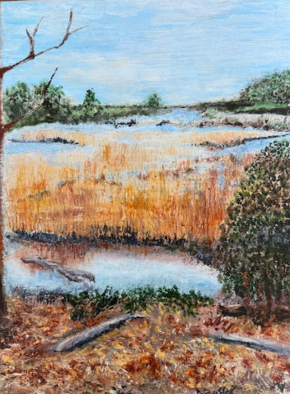 Deborah Butler-Fox Mill Run at Goshen