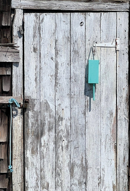 Sarah Collins Honenberger- Turquoise Riff