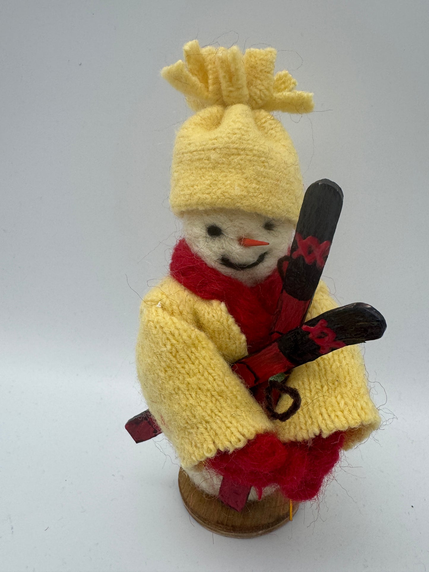 Judy Salatino-Skiier