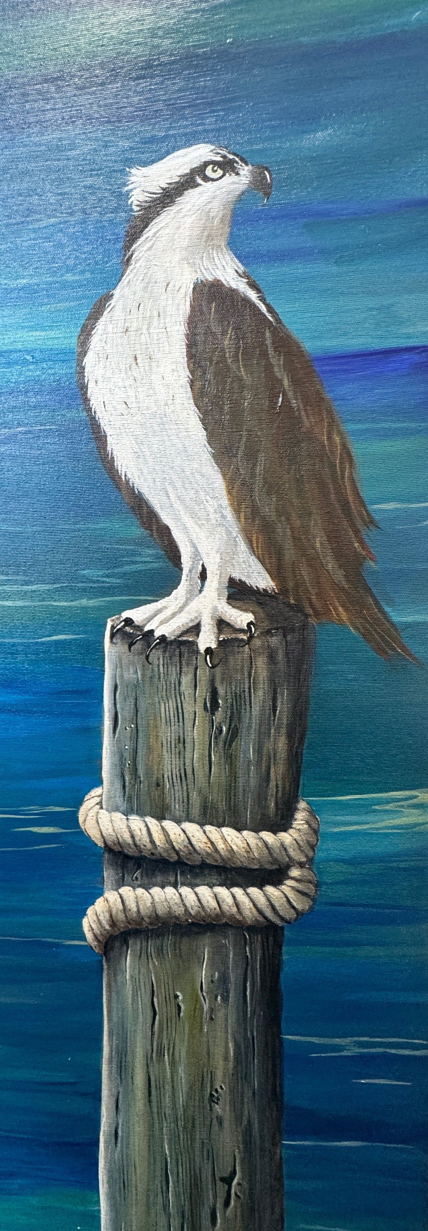 Maurine Frank-Osprey's Watch