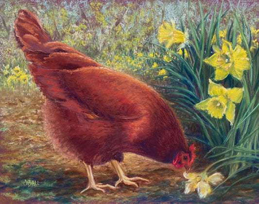 Jody Ball-Spring Chicken
