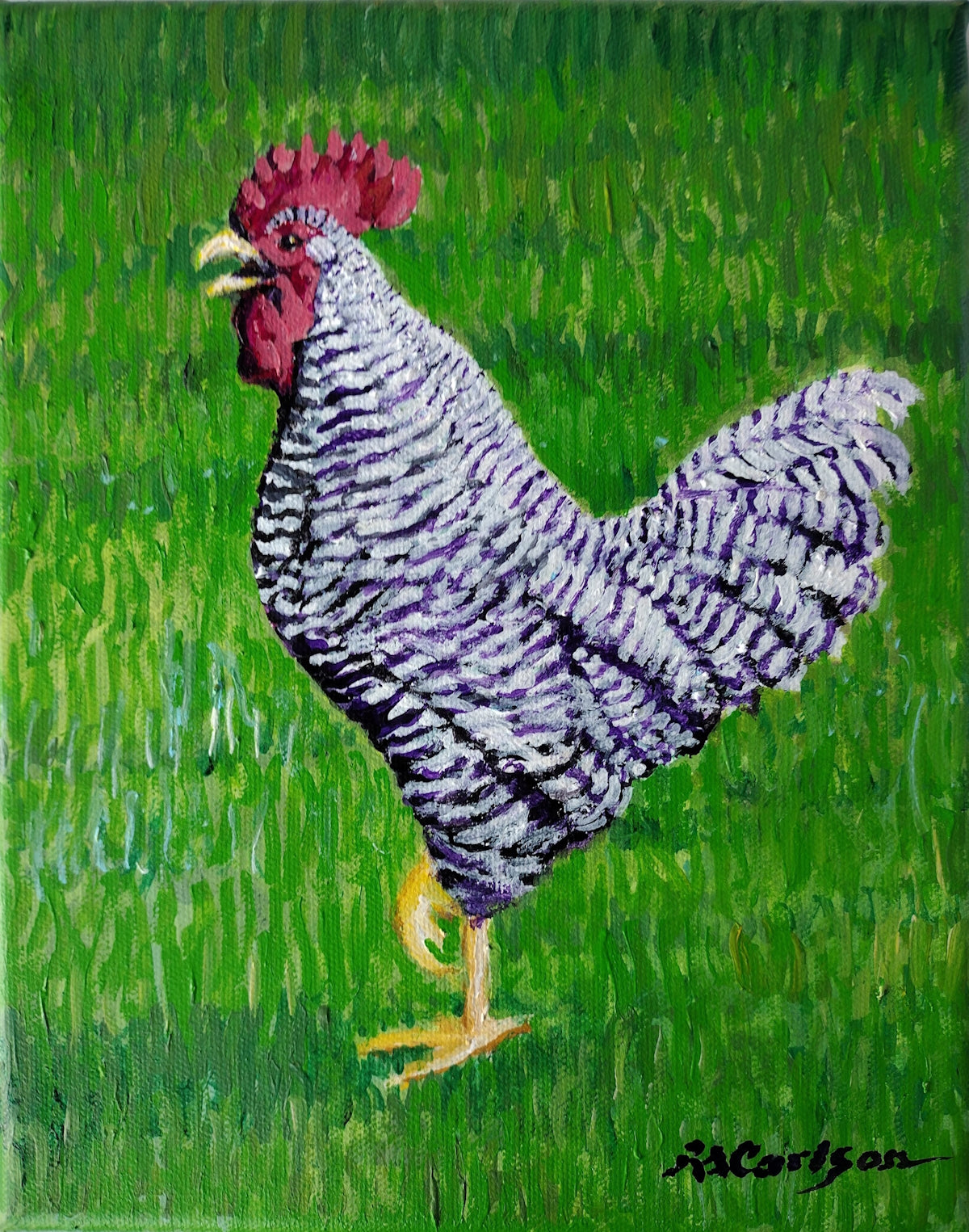 Bob Carlson- Barred Plymouth Rock Chicken