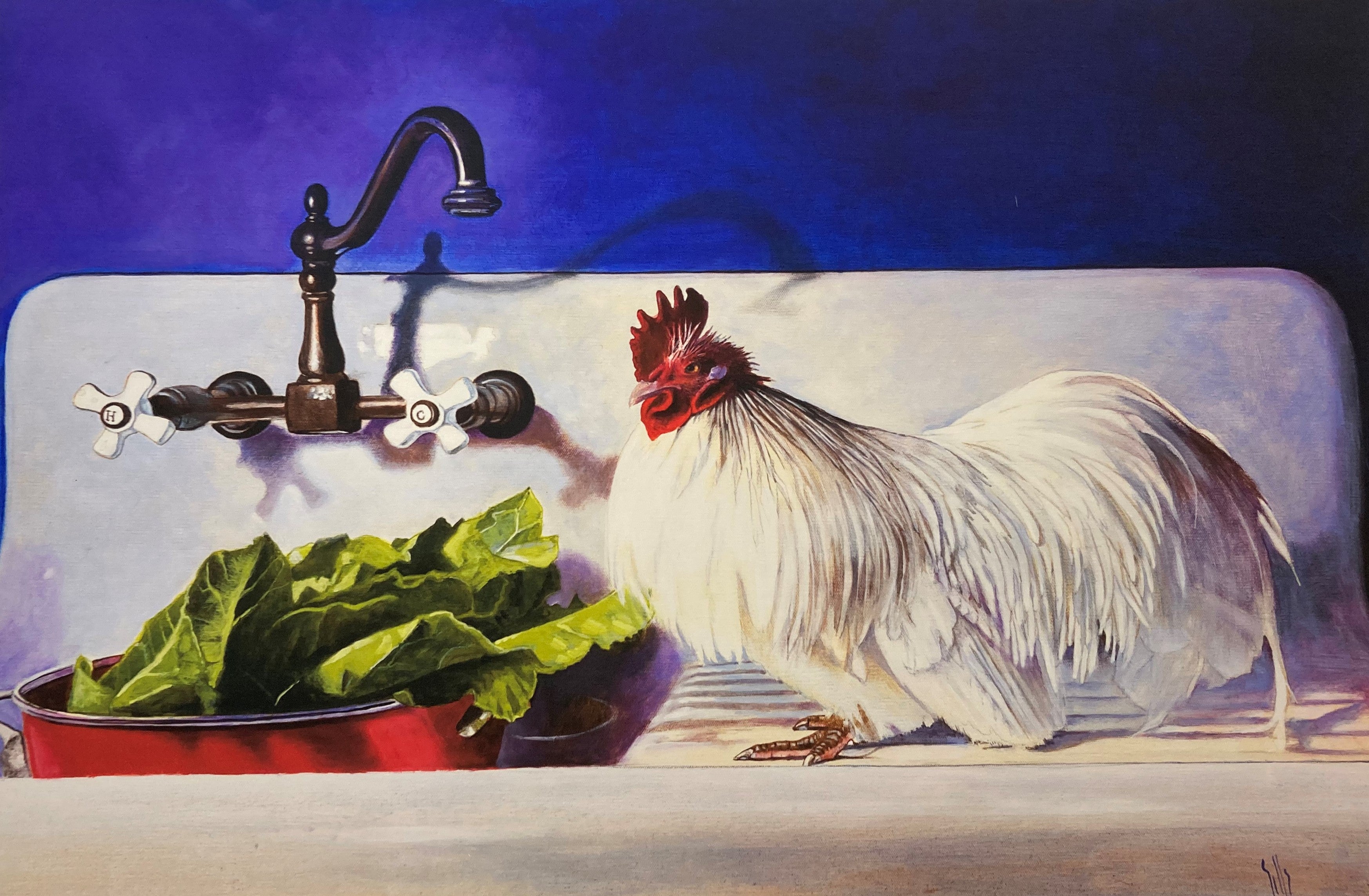Susan Sills- Clyde on the Sink Print