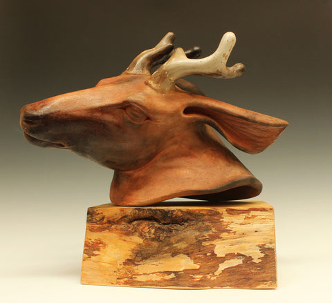 Katherine Maloney - Young Stag