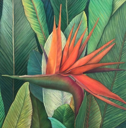 Lisa Devore -  Paradise