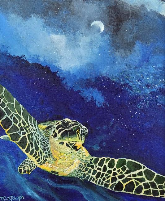 Terry Cox-Joseph -  Sea Turtle Universe